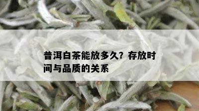 普洱白茶能放多久？存放时间与品质的关系