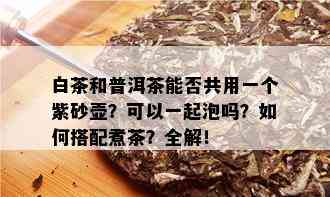 白茶和普洱茶能否共用一个紫砂壶？可以一起泡吗？如何搭配煮茶？全解！