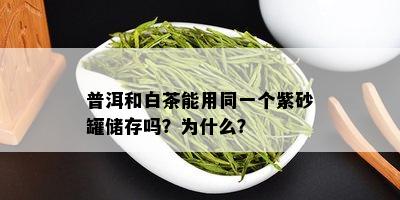 普洱和白茶能用同一个紫砂罐储存吗？为什么？