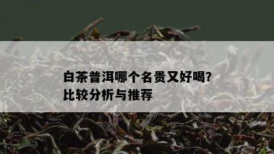 白茶普洱哪个名贵又好喝？比较分析与推荐