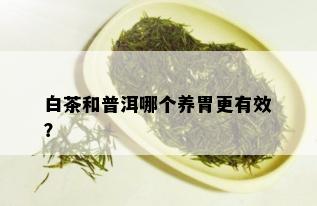 白茶和普洱哪个养胃更有效？