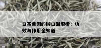 白茶普洱的顺口溜解析：功效与作用全知道