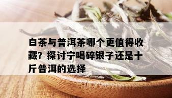 白茶与普洱茶哪个更值得收藏？探讨宁喝碎银子还是十斤普洱的选择