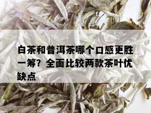 白茶和普洱茶哪个口感更胜一筹？全面比较两款茶叶优缺点