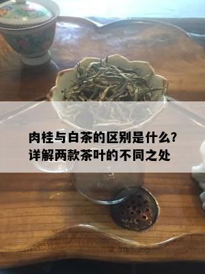 肉桂与白茶的区别是什么？详解两款茶叶的不同之处