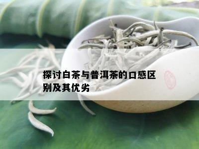 探讨白茶与普洱茶的口感区别及其优劣