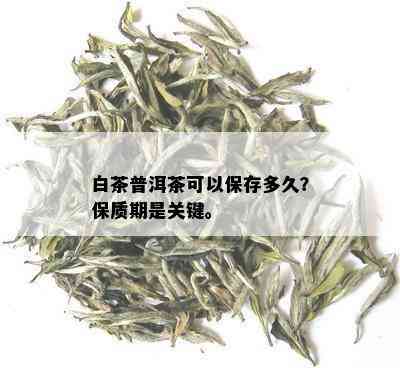 白茶普洱茶可以保存多久？保质期是关键。