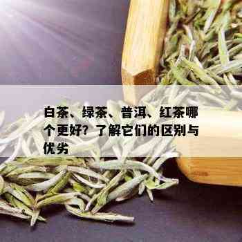 白茶、绿茶、普洱、红茶哪个更好？了解它们的区别与优劣