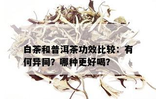 白茶和普洱茶功效比较：有何异同？哪种更好喝？