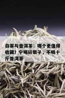 白茶与普洱茶：哪个更值得收藏？宁喝碎银子，不喝十斤普洱茶