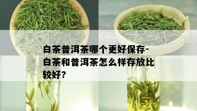 白茶普洱茶哪个更好保存-白茶和普洱茶怎么样存放比较好?