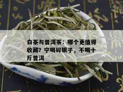 白茶与普洱茶：哪个更值得收藏？宁喝碎银子，不喝十斤普洱