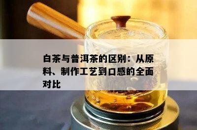 白茶与普洱茶的区别：从原料、制作工艺到口感的全面对比