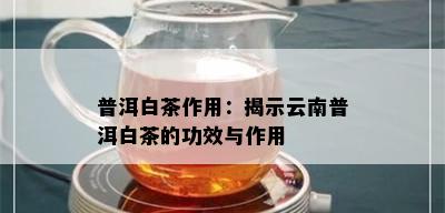 普洱白茶作用：揭示云南普洱白茶的功效与作用