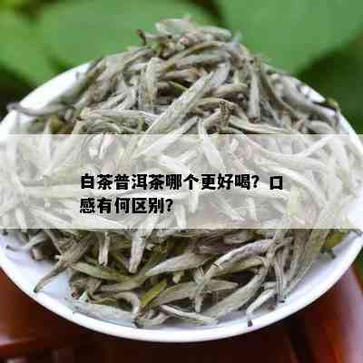 白茶普洱茶哪个更好喝？口感有何区别？