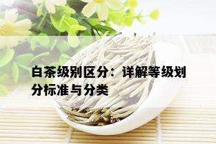 白茶级别区分：详解等级划分标准与分类