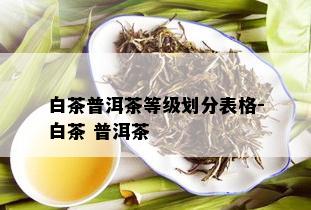 白茶普洱茶等级划分表格-白茶 普洱茶