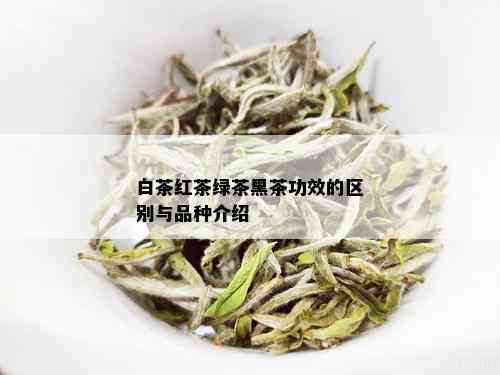 白茶红茶绿茶黑茶功效的区别与品种介绍