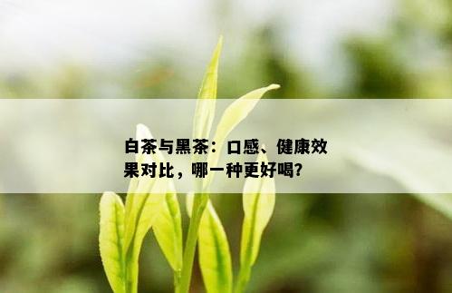 白茶与黑茶：口感、健康效果对比，哪一种更好喝？