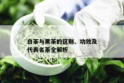 白茶与黑茶的区别、功效及代表名茶全解析