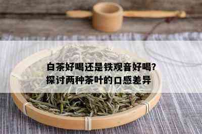 白茶好喝还是铁观音好喝？探讨两种茶叶的口感差异