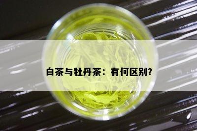 白茶与牡丹茶：有何区别？