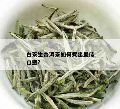 白茶生普洱茶如何煮出更佳口感？