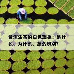 普洱生茶的白色现象：是什么、为什么、怎么辨别？