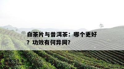 白茶片与普洱茶：哪个更好？功效有何异同？