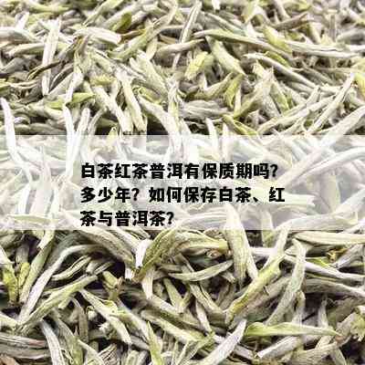 白茶红茶普洱有保质期吗？多少年？如何保存白茶、红茶与普洱茶？