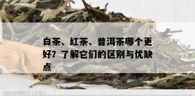 白茶、红茶、普洱茶哪个更好？了解它们的区别与优缺点