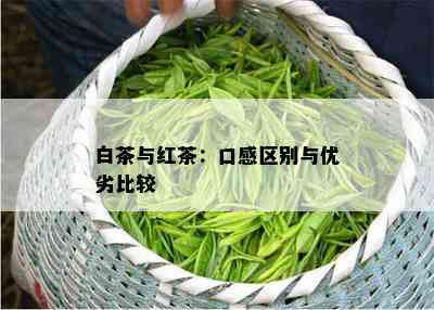 白茶与红茶：口感区别与优劣比较