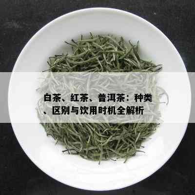 白茶、红茶、普洱茶：种类、区别与饮用时机全解析