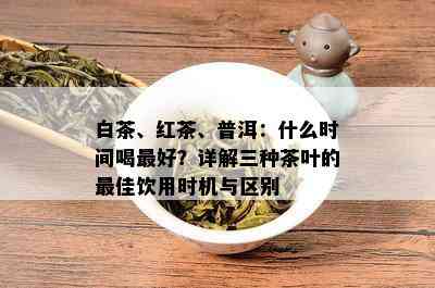 白茶、红茶、普洱：什么时间喝更好？详解三种茶叶的更佳饮用时机与区别