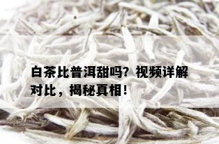 白茶比普洱甜吗？视频详解对比，揭秘真相！