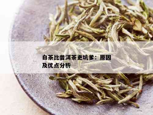 白茶比普洱茶更坑爹：原因及优点分析