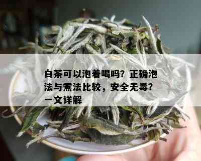 白茶可以泡着喝吗？正确泡法与煮法比较，安全无？一文详解