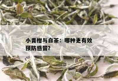 小青柑与白茶：哪种更有效预防感冒？