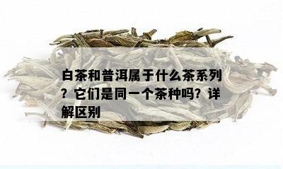 白茶和普洱属于什么茶系列？它们是同一个茶种吗？详解区别