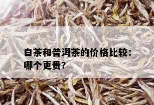 白茶和普洱茶的价格比较：哪个更贵？