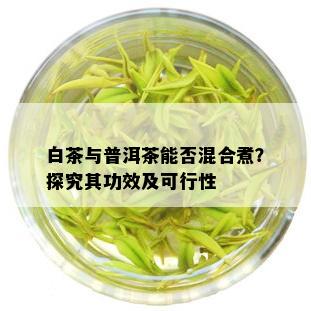 白茶与普洱茶能否混合煮？探究其功效及可行性