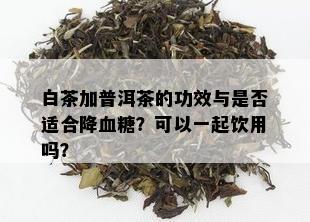 白茶加普洱茶的功效与是否适合降血糖？可以一起饮用吗？