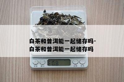 白茶和普洱能一起储存吗-白茶和普洱能一起储存吗