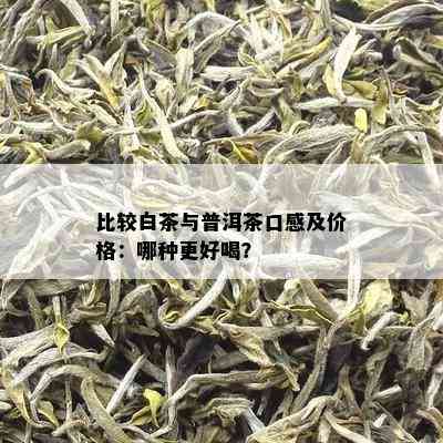 比较白茶与普洱茶口感及价格：哪种更好喝？