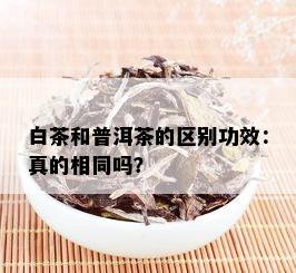 白茶和普洱茶的区别功效：真的相同吗？