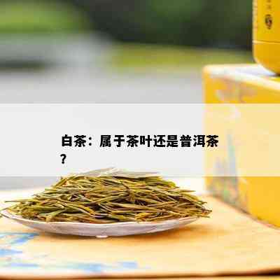 白茶：属于茶叶还是普洱茶？