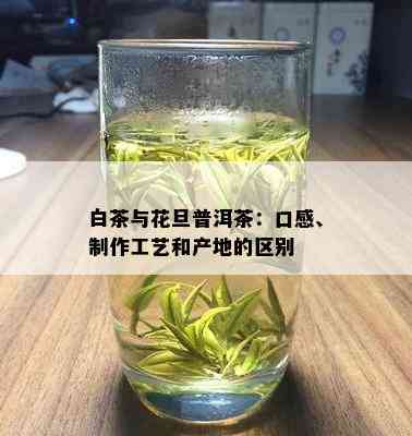 白茶与花旦普洱茶：口感、制作工艺和产地的区别