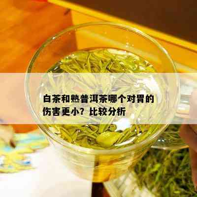 白茶和熟普洱茶哪个对胃的伤害更小？比较分析