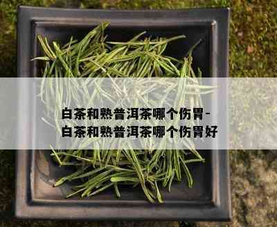 白茶和熟普洱茶哪个伤胃-白茶和熟普洱茶哪个伤胃好