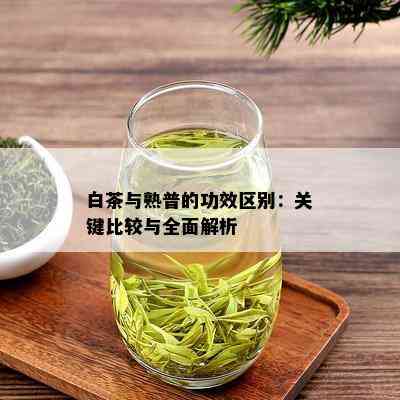 白茶与熟普的功效区别：关键比较与全面解析